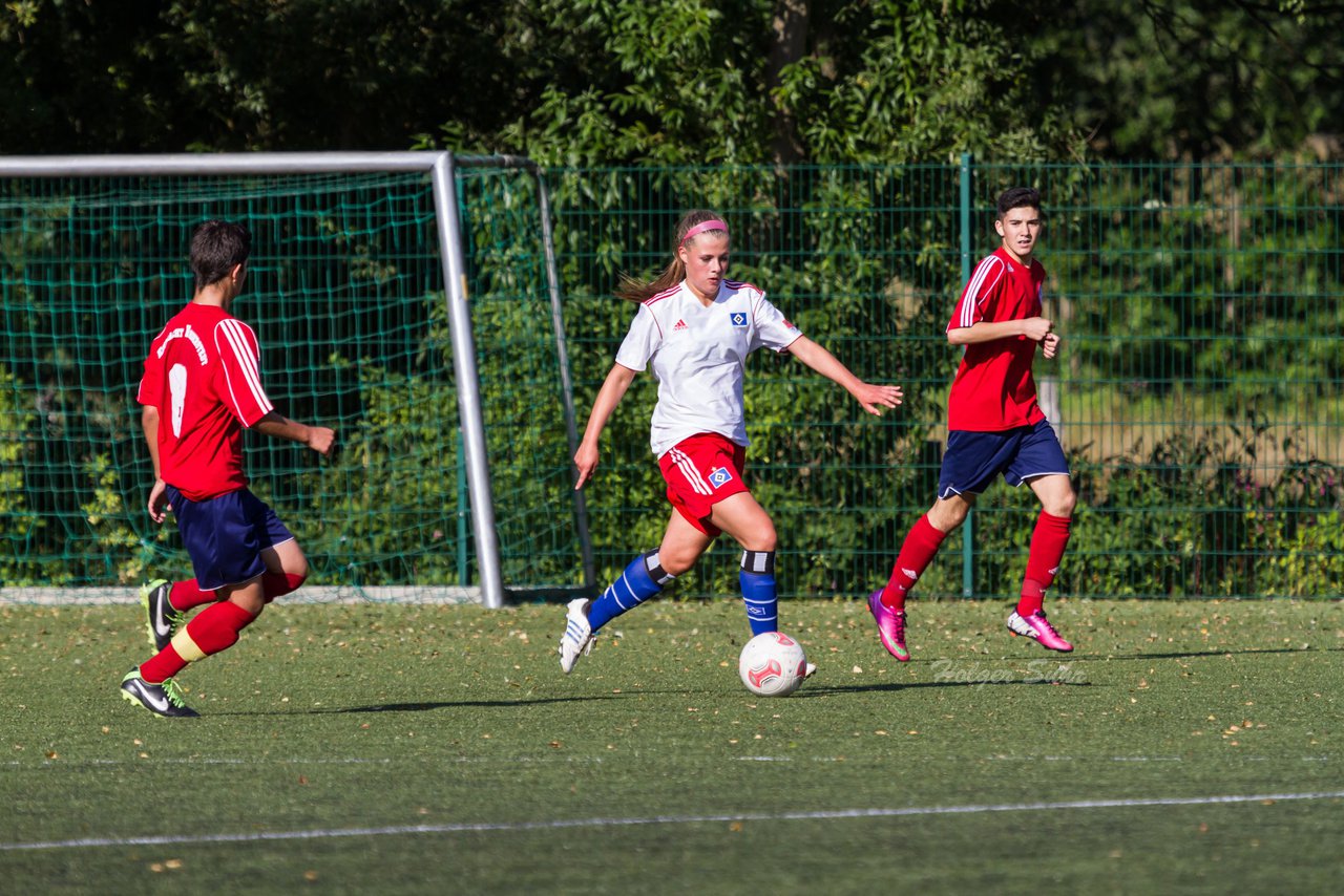 Bild 215 - Frauen HSV - cJun Eintracht Norderstedt : Ergebnis: 1:16